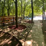 Woodrock * Saraybosna