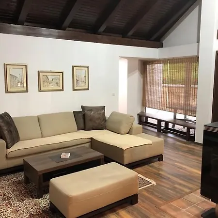 Woodrock サラエヴォ