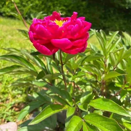 Villa Woodrock Szarajevó