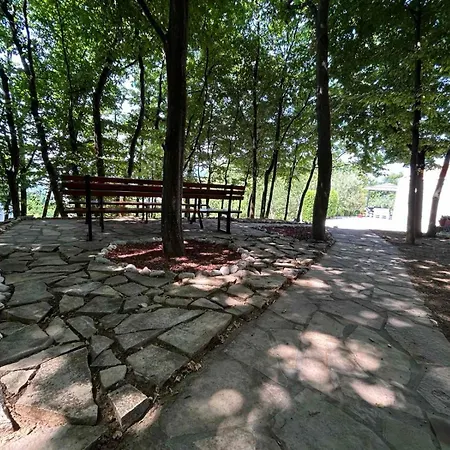 Woodrock Sarajevo